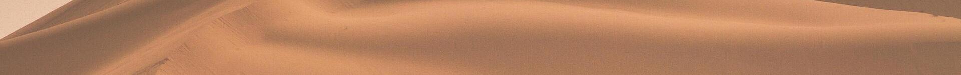 A horizontal banner depicting a tranquil desert scene.